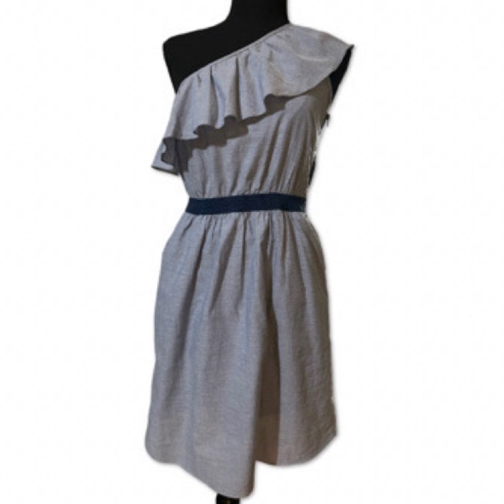 Beautiful Blue Jean 1 Shoulder Dress. Zips on the side with pockets. Size Small